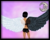 Duality Wings