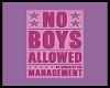 No Boys Allowed Poster
