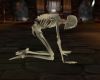 [BB] Skeleton Chair