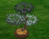 [MA]potted tree/plants