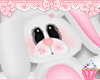 ! Bunny Rabbit Toy 