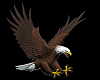 eagle cutout