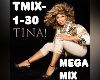 Tina Turner MegaMix