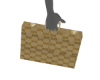 G Suitcase
