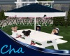 Cha`Scaled Picnic Table