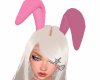 Bun! Brt Pink Bunny Ears