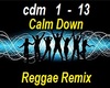 Reggae Remix