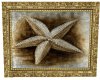 star fish picture