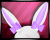 Purple bunny ears req