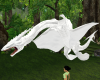 dragon white