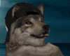 American Wolf Cosplay