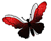 Red Butterfly Deco