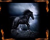 Horse pic animated frame