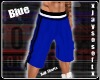 [J] Blue Ball Shorts