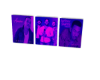 Bachateros Frame