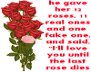 11 roses