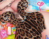 L|tht gud kitty kitty★
