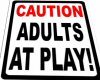 Adults @ Play Poster