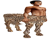 centaur leopard M