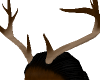[AG] Oh Deer Horns