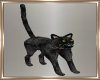  Animated Black Cat