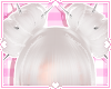 ❀. kara | yuki