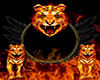 Tiger Fire Background