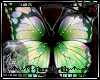 (D)Wildling Butterfly