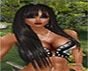 Evcenia black
