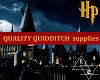 *HP* Quality Quidditch