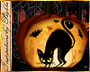 I~Pumpkin*Black Cat