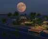 !!! Full Moon Paradise