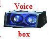 german VoiceBox