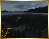 F: Night Forest