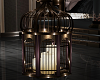 J'Adore Caged Candles