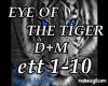EYE OF THE TİGER D+M