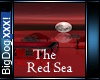 [BD] TheRedSea