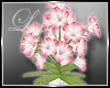 *Lb* Vase of Petunias #2