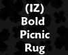 (IZ) Bold Picnic Rug