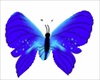 Animated Butterfly 8