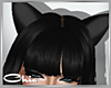 cs. Kitty Ears 