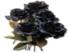 black roses