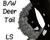 B/W Deer Tail