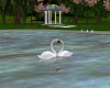 SC Wedding Swans