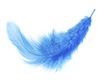 blue feather light