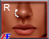 AF. D.Beaded Nose Ring R