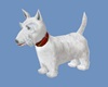 CK White Scotty Dog
