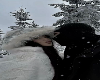 ᥫ᭡. Couple Cutout 43