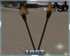 A3D* Torch