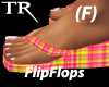 [TR] !Flip Flops! Wonka